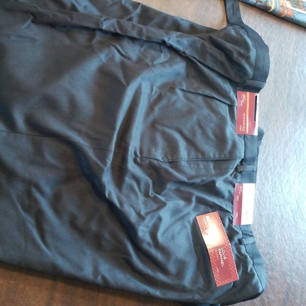 Dress pants
